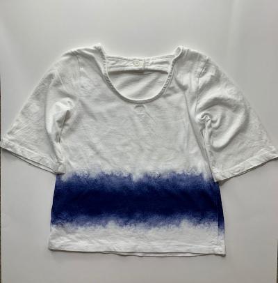 OLD NAVY BLUE/WHITE TOP (SZ 5)