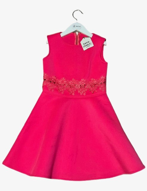 DAVID CHARLES DRESS (SZ 10)