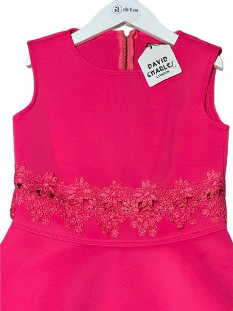 DAVID CHARLES DRESS (SZ 10)