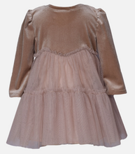 Load image into Gallery viewer, Bonnie Jean Little Girls Velvet/Tiered Mesh Skirted Float Dress  (SZ 4)
