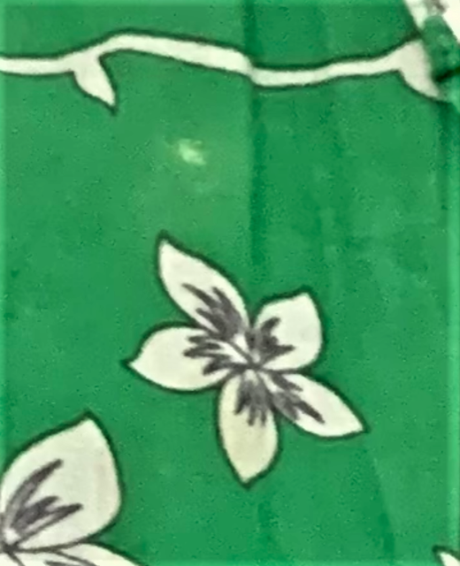 CUPCAKES & PASTRIES GREEN FLORAL DRESS  (SZ 3T)