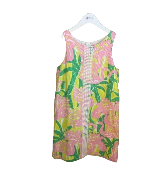 Lilly Pulitzer dress (14-16)