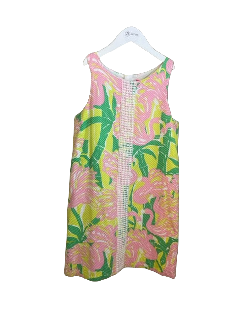 Lilly Pulitzer dress (14-16)