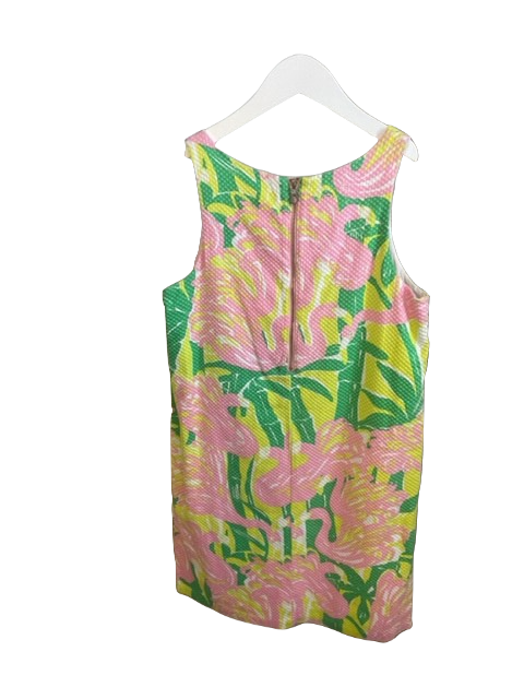 Lilly Pulitzer dress (14-16)